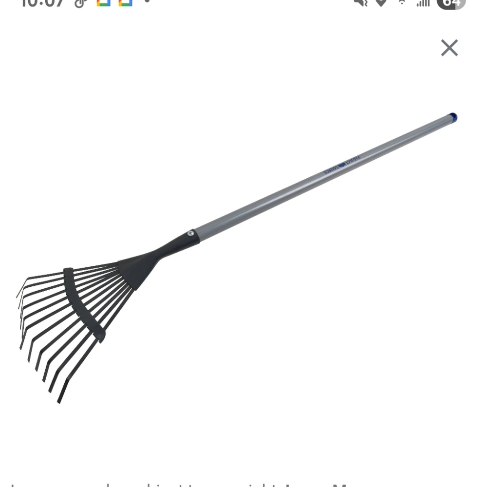Project Source 8-in Lawn Rake Children's Kids Garden Yard Leaf Steel Handle Tool